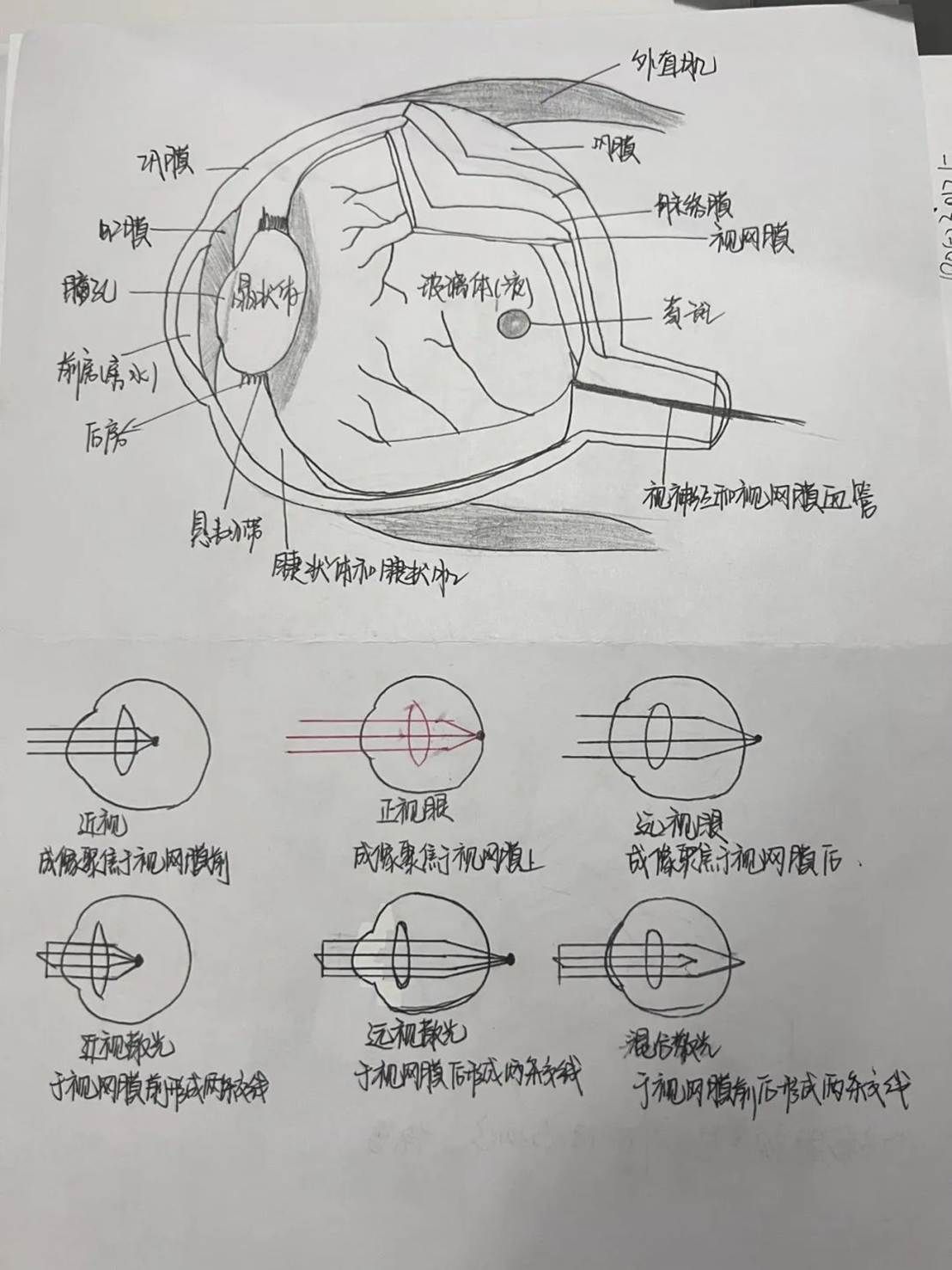 图片 图片