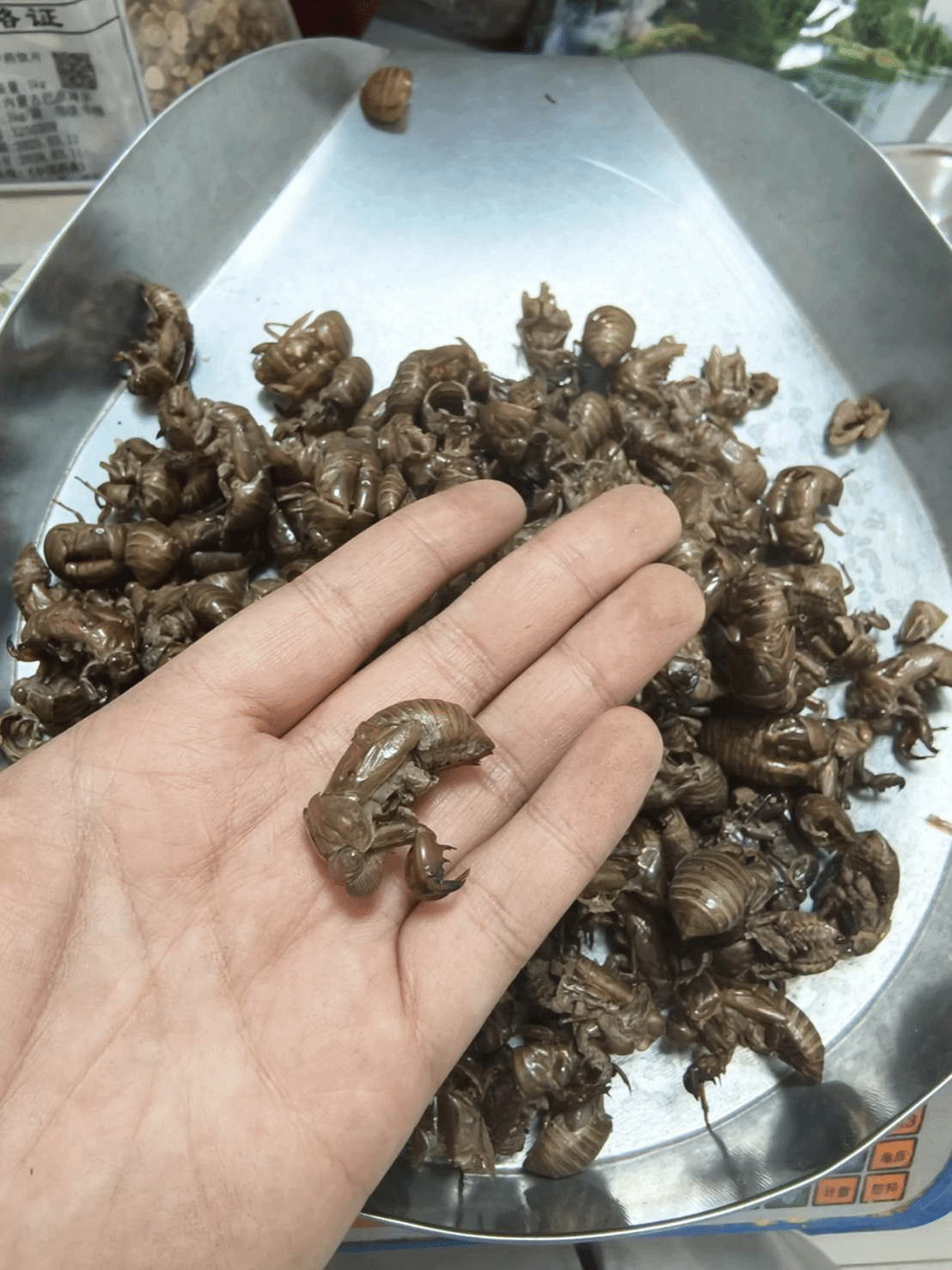 图片 图片