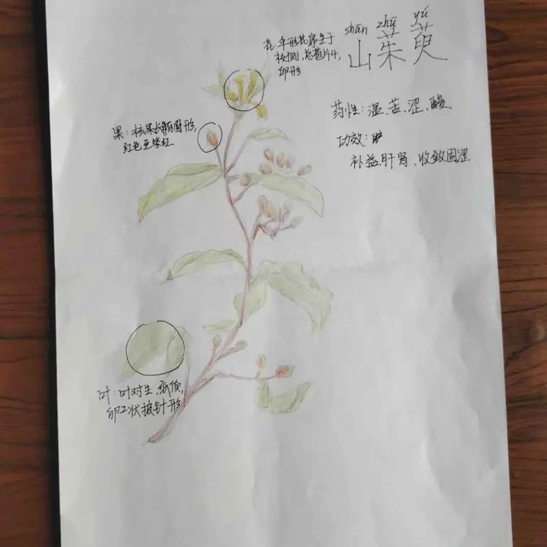 图片 图片